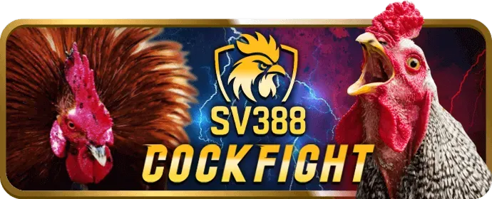 Khuyến Mãi Dành Cho VIP app hb88